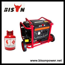 BISON (CHINA) Gas Benzin Zwei-in-One-OEM-Generator Gas